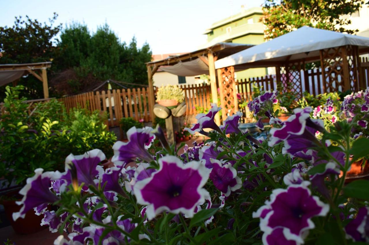 Domus Socolatae Apartments&Suites Follonica Luaran gambar